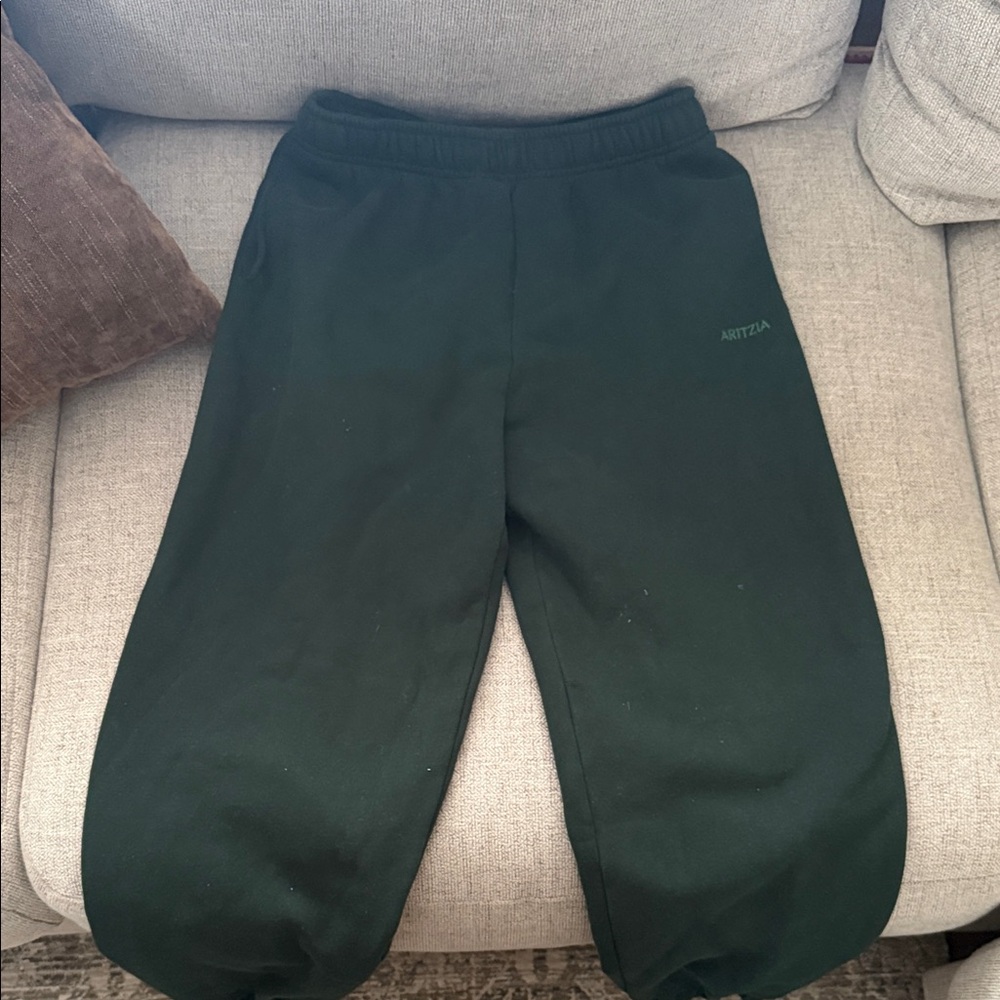Aritzia women’s  Dark Green Joggers
